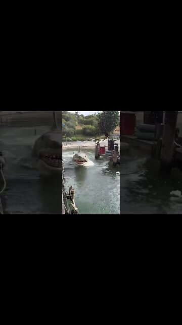 #shorts #2022 funny,prank,funjokes,dad jokes,funny memes,funny video,fun,laughing,funny animal,knock