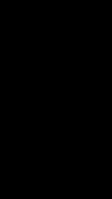 Constitutional rights