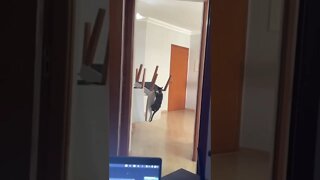 mantendo o equilíbrio