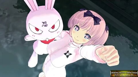 SENRAN KAGURA ESTIVAL VERSUS Hibari Story