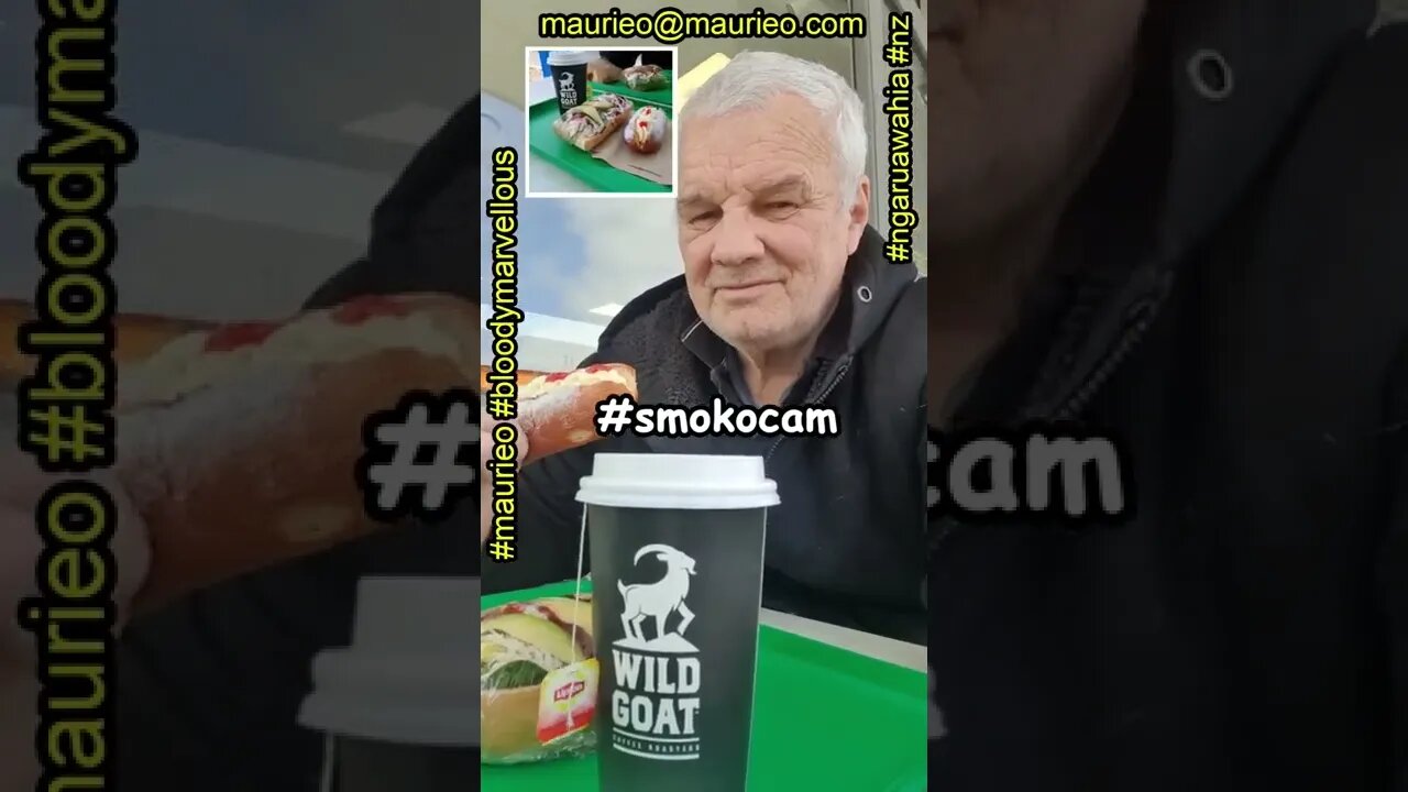 #maurieo #shorts SMOKO WITH A WILD GOAT