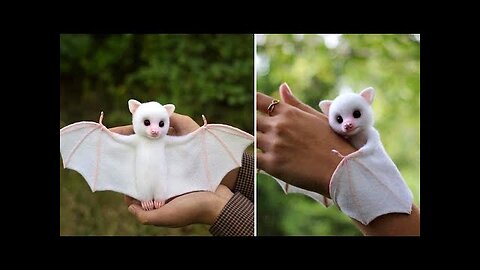 Top 10 Cute Animals In The World | FactEX