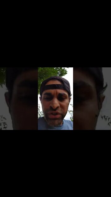 Who Needs Grocery Stores?! Bro, $4 's!