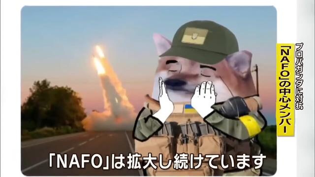 NAFOとは?柴犬でロシアのプロパガンダと戦う組織 What is NAFO? Shibainu Dog 2022/10/16