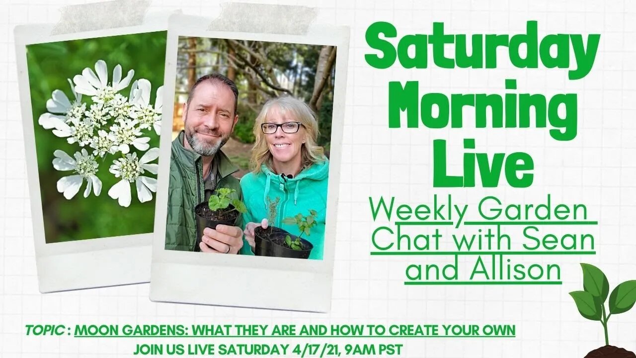 ☕ Saturday Morning LIVE Garden Chat - Moon 🌙 Gardens ☕