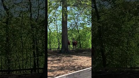 Hide and seek