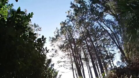 #Hiltonheadisland
