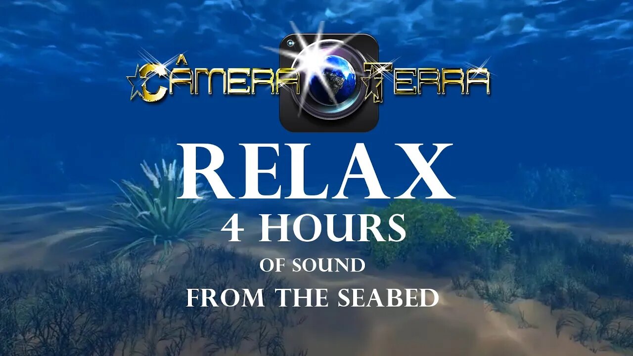 🌎4 Horas de Som Do Fundo Do Mar Para Relaxar, Dormir e Meditar| Música Para Dormir em 3 minutos|2021