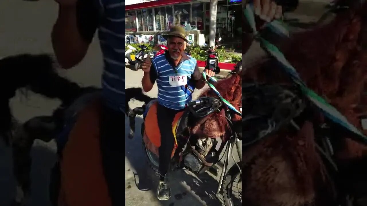 Dominican Ghost rider?