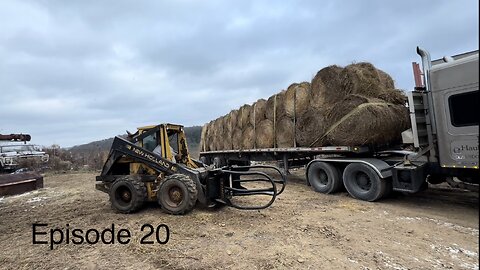 More hay to Haul!