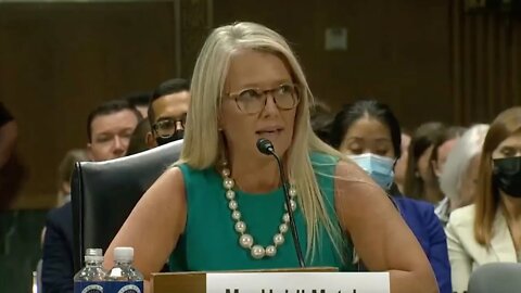 "This is NOT healthcare!" GOP witness STUNS THE ROOM with her harrowing testimony