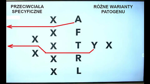 Odporność naturalna vs przeciwciała poszczepienne - analogia do futbolu [napisy PL]