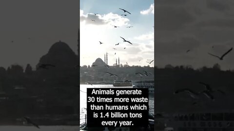 best of wild animals facts #shorts #facts