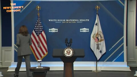 VP Harris reads her whatever speech in obviously empty stage room.