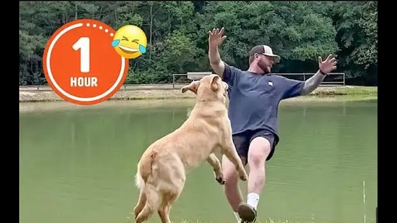 FUNNIEST Pets of 2024...So Far | BEST Compilation