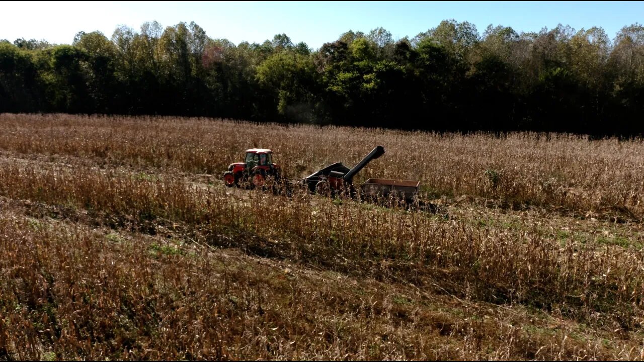 Harvest Time