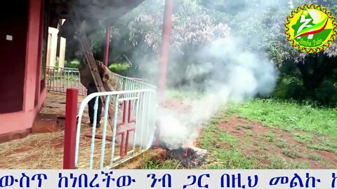 ቤተ-ክርስቲያን ስናፈርስ ኮርኔሱ ውስጥ ከነበረችው ንብ ጋር የነበረ ትንቅንቅ፡፡ [ደብረ ቀራንዮ መድኃኔዓለም