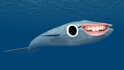 The blue whale is the largest animal that's ever lived