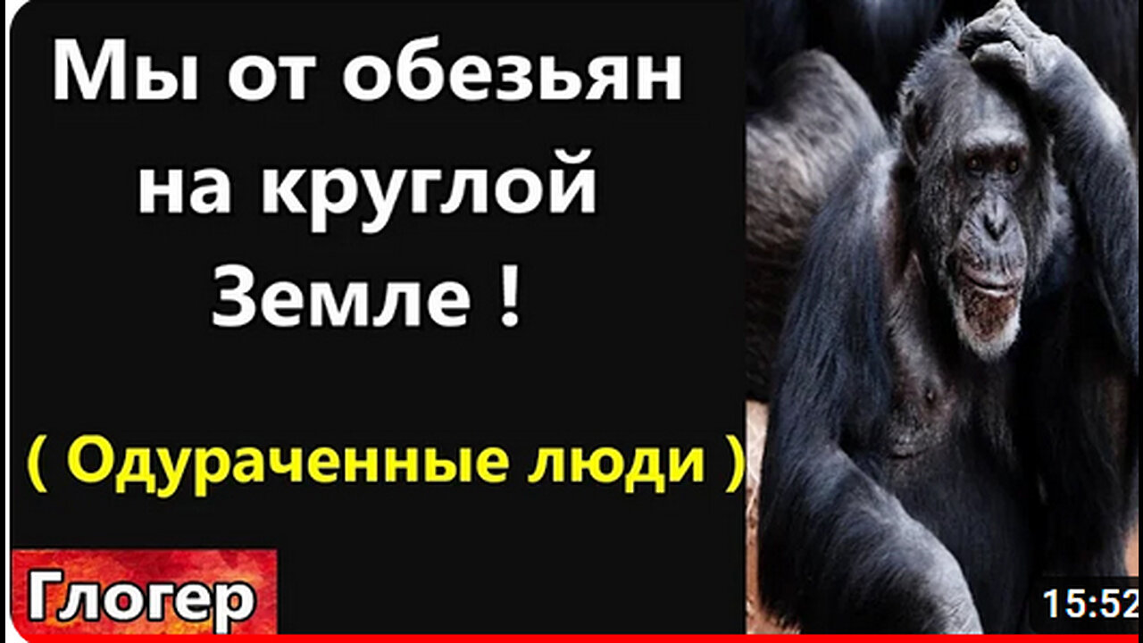 Вы произошли от обезьяны и ходите по круглой Земле ! ДИКИЕ НОВОСТИ ! Лапша на ушах от системы !