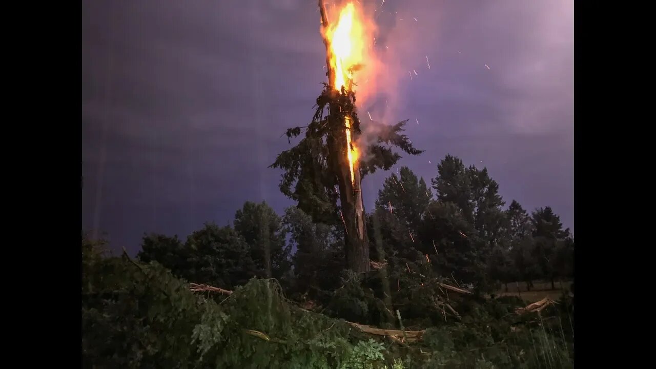 Lightning explodes tree near La Center, Washington