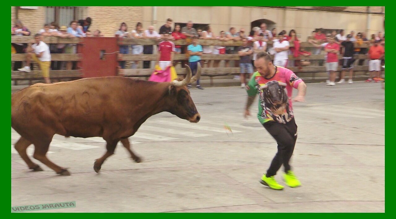 BUÑUEL ( NAVARRA ) TARDE VACAS EN CALLE ( MARTES 25 JULIO 2023 ) GANAD.EL RUISEÑOR