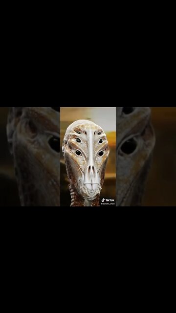 Greys #alien #tiktok #shorts