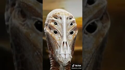 Greys #alien #tiktok #shorts