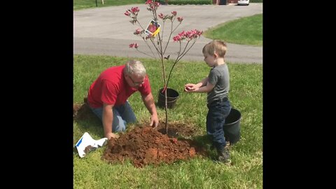 Planting trees and starting the garden