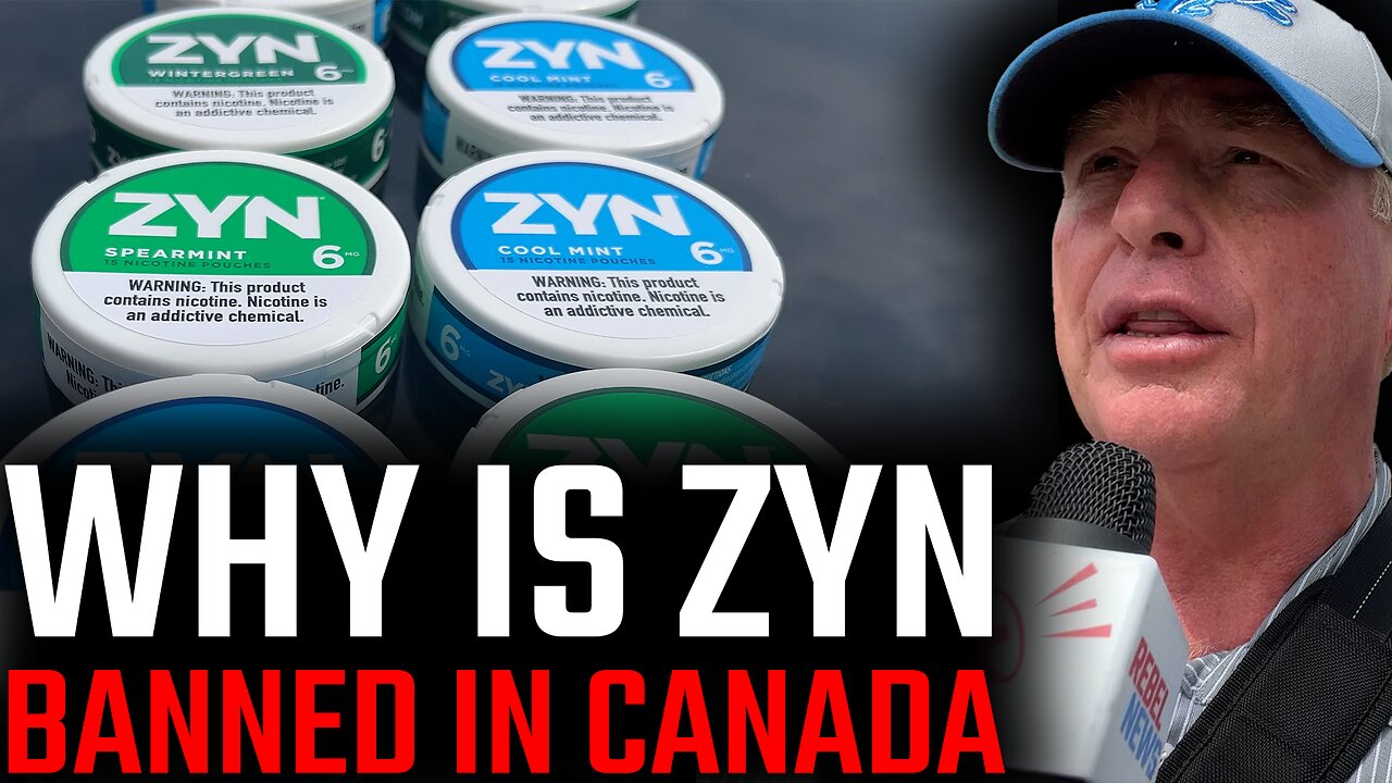 Why does Health Canada think Zyn is a sin? The official reasons simply do not add up…