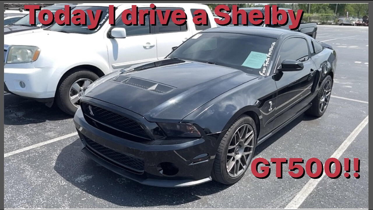 Dealer Auction Walk Around 05-08-2023 with a Shelby GT500!