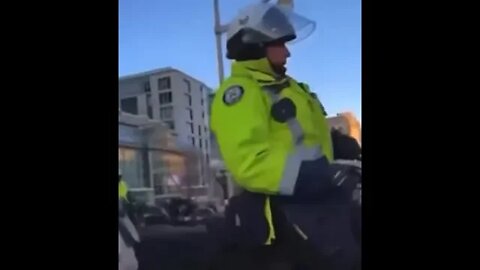 Police horse trample woman