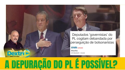 A DEPURAÇÃO DO PL É POSSÍVEL?