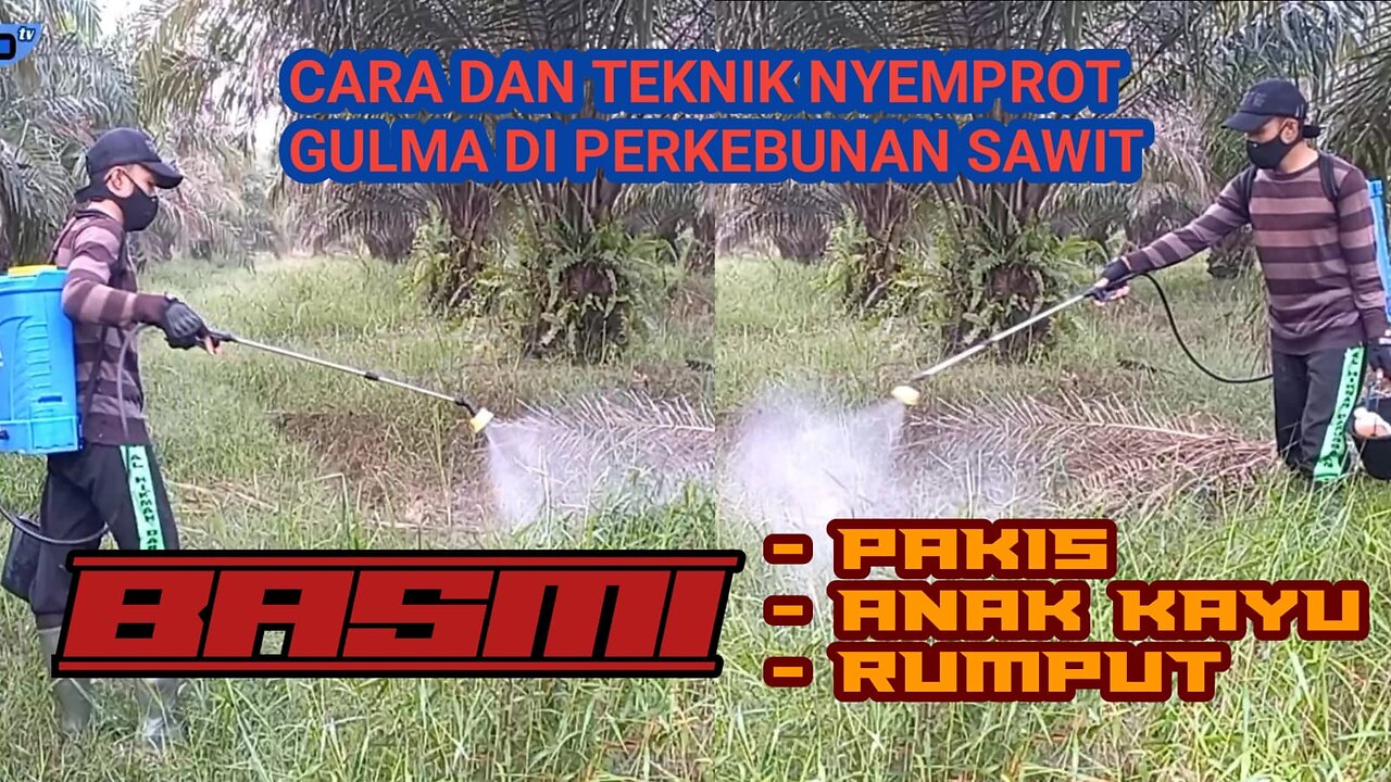 Methods and Techniques for Spraying Weeds in Oil Palm Plantations