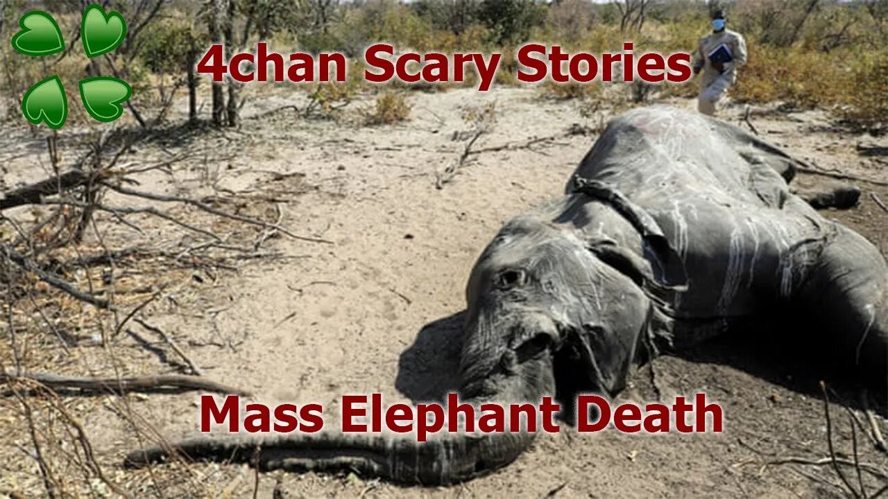 4Chan Scary Stories :: Mass Elephant Death