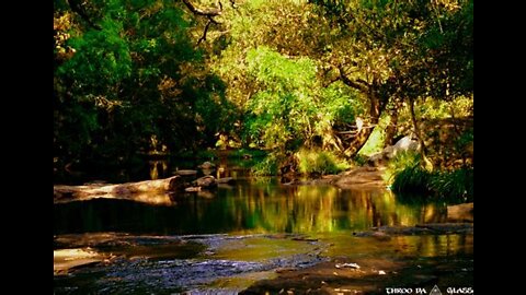 TOP 10 PLACES TO VISIT IN COORG