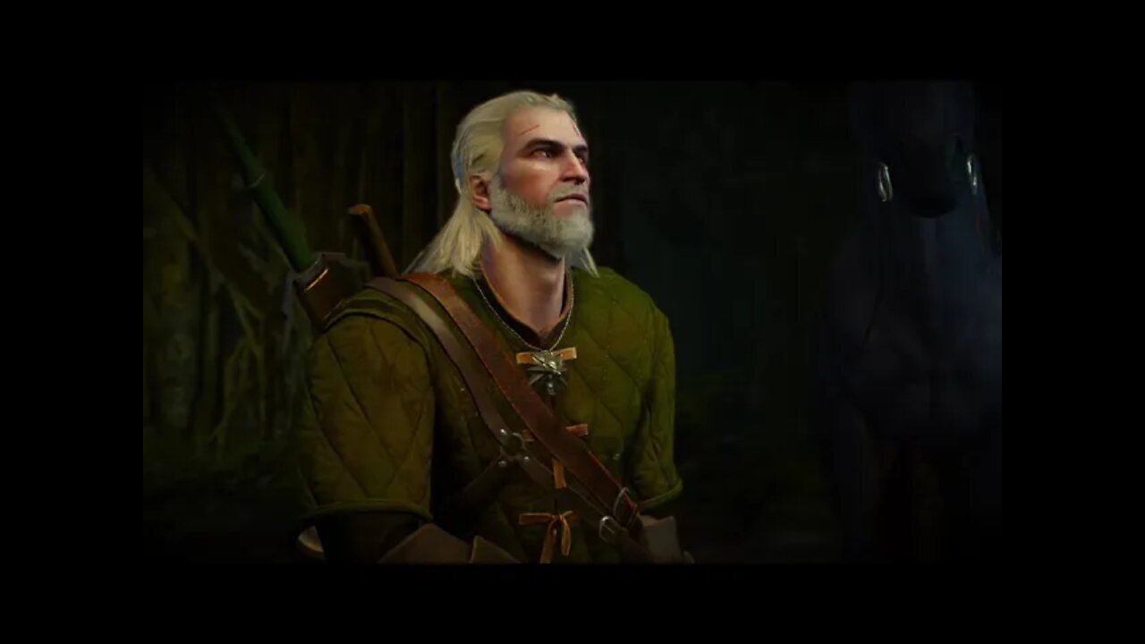 The Witcher 3: Wild Hunt Part 31-Saving The Children