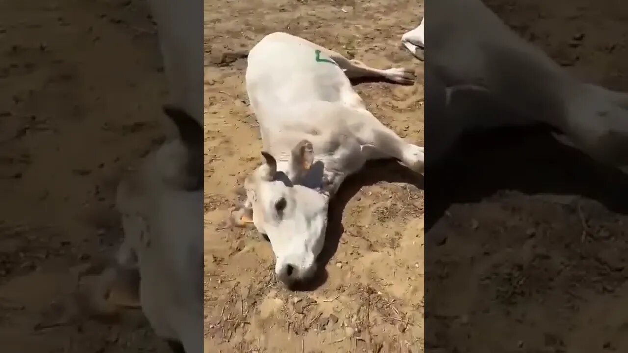 ۱۳ اوت ۲۰۲۲