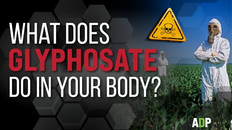 What Does Glyphosate Do In Your Body?