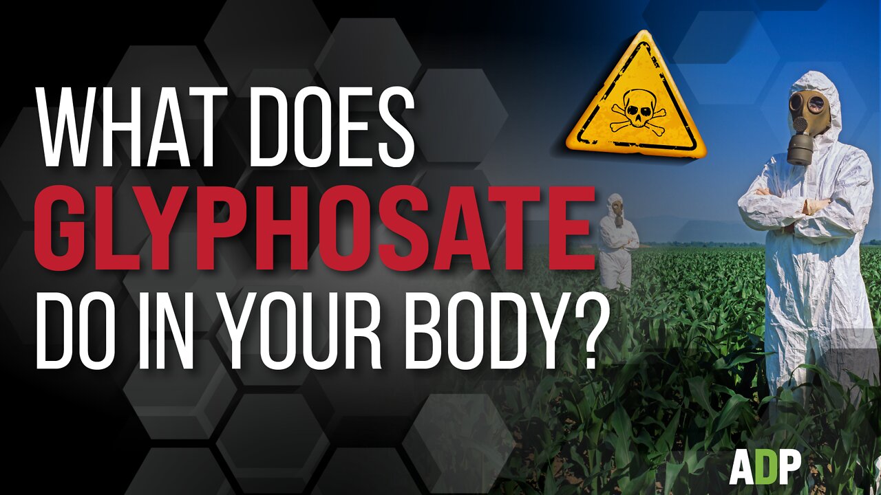 What Does Glyphosate Do In Your Body?