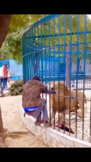 Hand in the lion's mouth