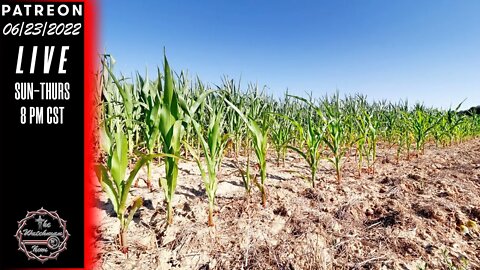 06/23/2022 The Watchman News - Missouri Farmers Desperate For Rain - Ireland May Ration Fuel - News