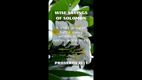 Proverbs 15:1 | NRSV Bible | Wise Sayings of Solomon