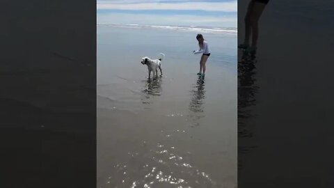 A magical time on Ocean Shores, Washington, at low tide.