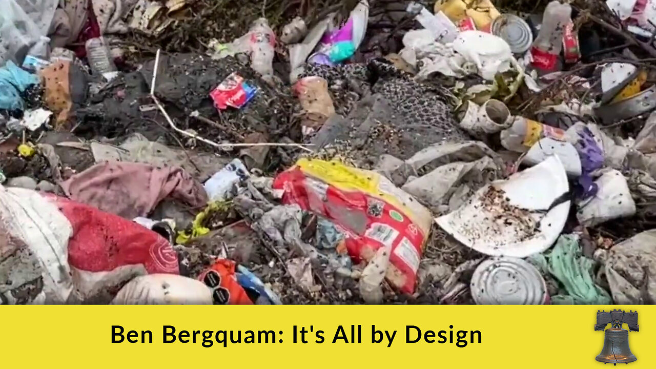 Ben Bergquam: It's All by Design