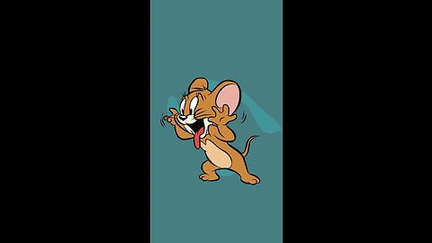 Funny moments in animal