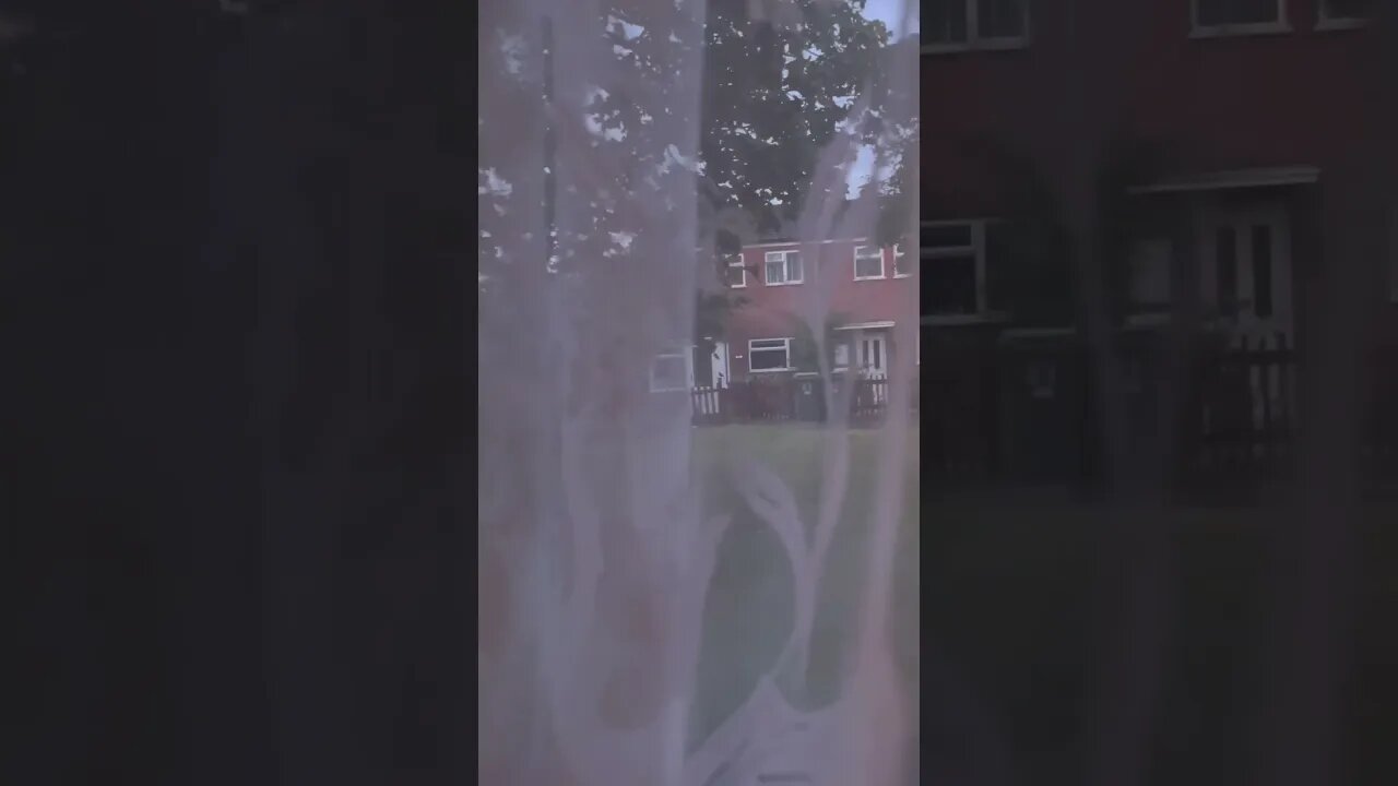 Living room view enjoy 😉 and like 👍 and subscribe to my channel #mychannel