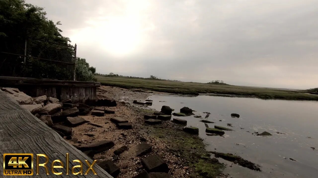 Salt Water Marsh Land Low Tide - Ambiant Sounds