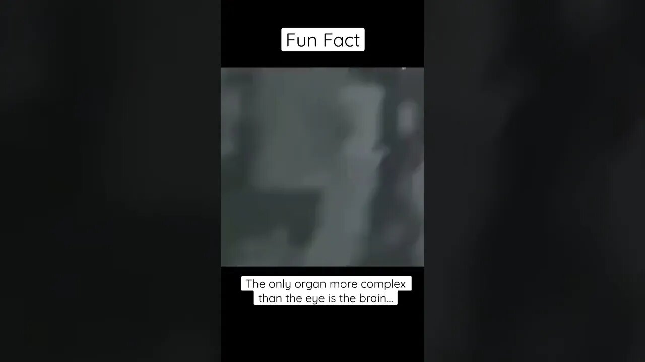 The most complex organ