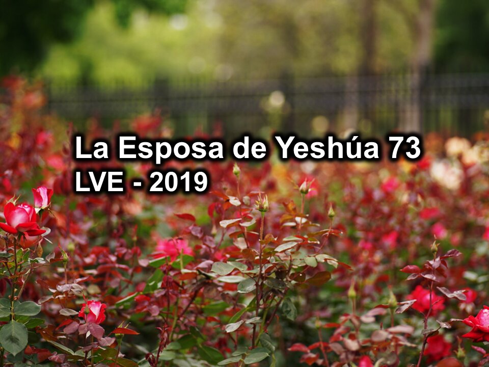 La Esposa de Yeshúa 73 - YHWH Ekjad 52 - Juan 9