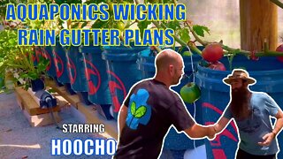 Aquaponics Wicking Rain Gutter Plans with @Hoocho 🐟🌱🍓